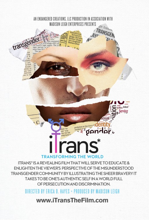 iTrans* Movie Poster