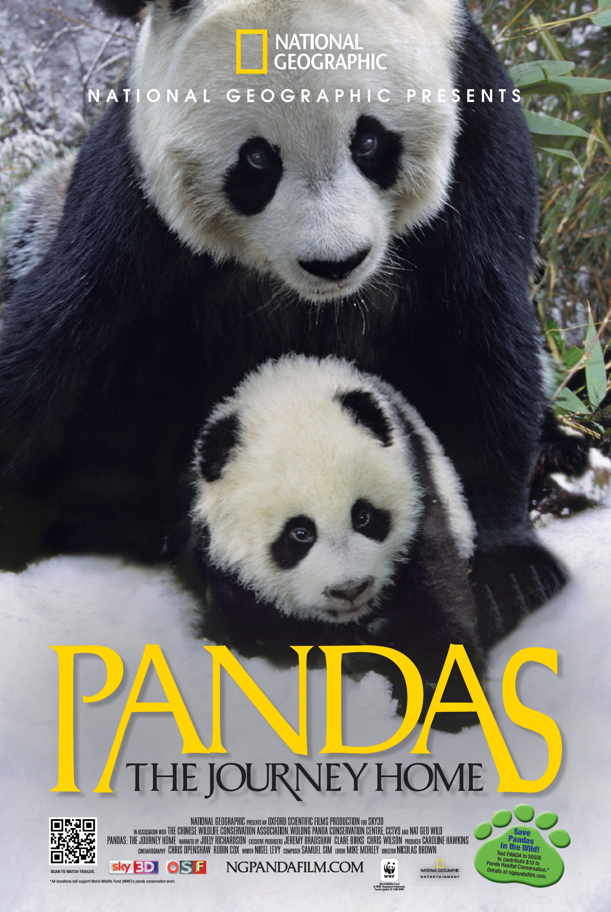 Mega Sized Movie Poster Image for Pandas: The Journey Home 