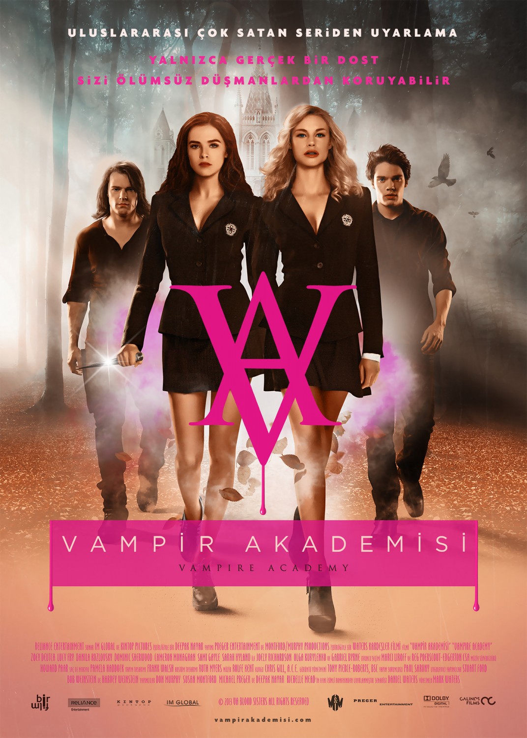 Extra Large Movie Poster Image for Vampire Academy (#8 of 27)