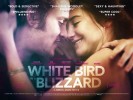 White Bird in a Blizzard (2014) Thumbnail