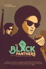 The Black Panthers: Vanguard of the Revolution (2015) Thumbnail