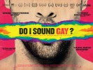 Do I Sound Gay? (2015) Thumbnail