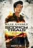 Maze Runner: The Scorch Trials (2015) Thumbnail