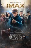 fantastic beast and to find them