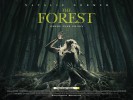 The Forest (2016) Thumbnail