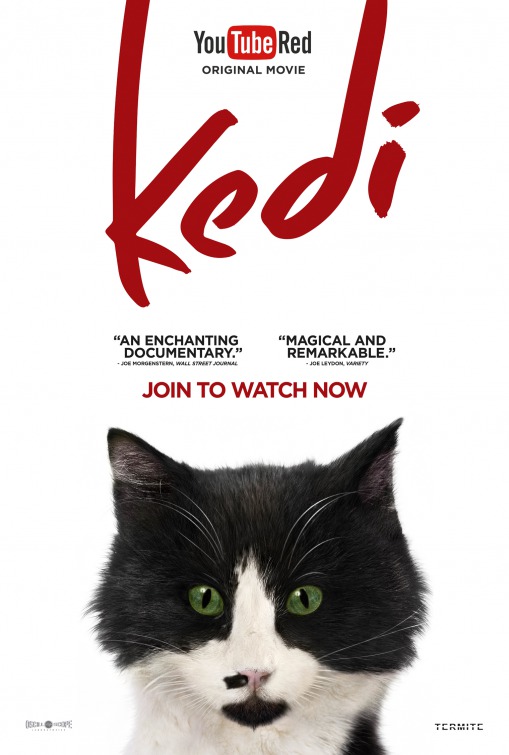 Kedi Movie Poster (3 of 13) IMP Awards