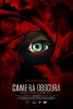 Camera Obscura (2017) Thumbnail