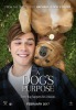 A Dog's Purpose (2017) Thumbnail