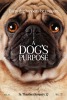 A Dog's Purpose (2017) Thumbnail