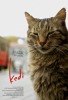 Kedi (2017) Thumbnail