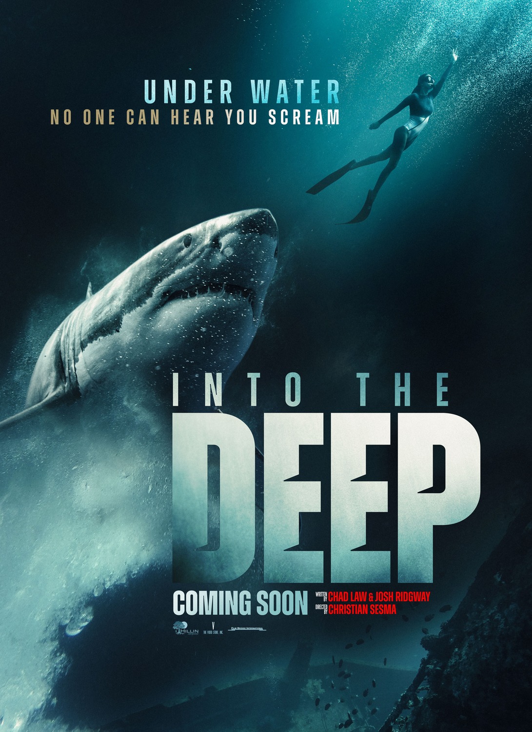 Into the Deep : Extra Large Movie Poster Image - IMP Awards