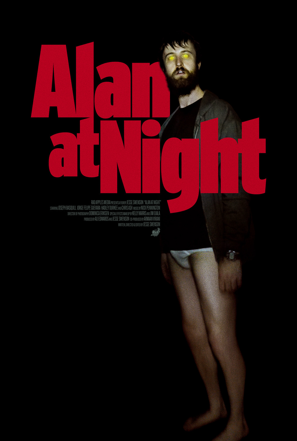 Extra Large Movie Poster Image for Alan at Night 