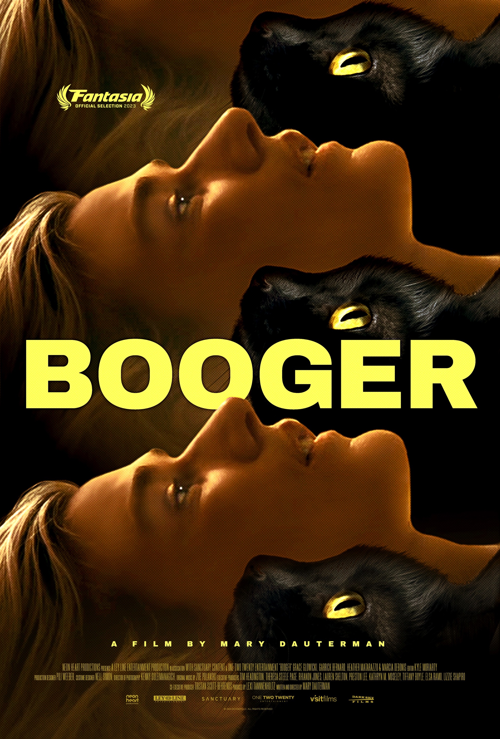 Mega Sized Movie Poster Image for Booger 