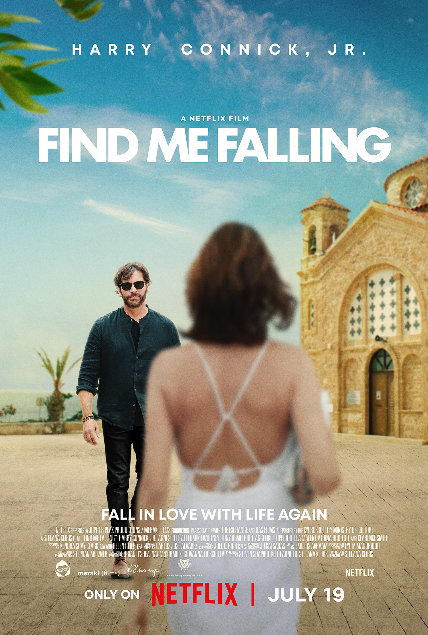 Mega Sized Movie Poster Image for Find Me Falling 