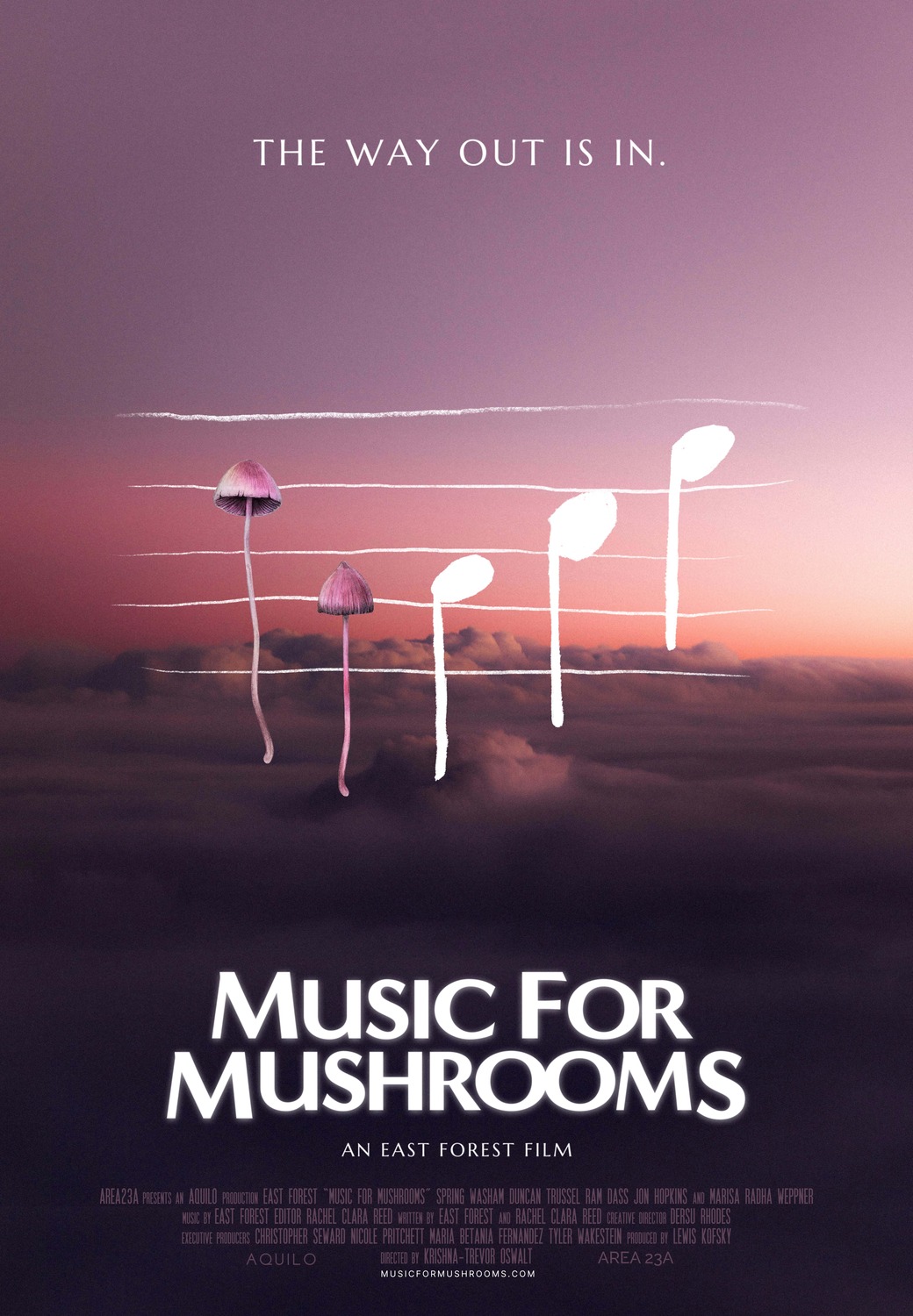 Extra Large Movie Poster Image for Music for Mushrooms 