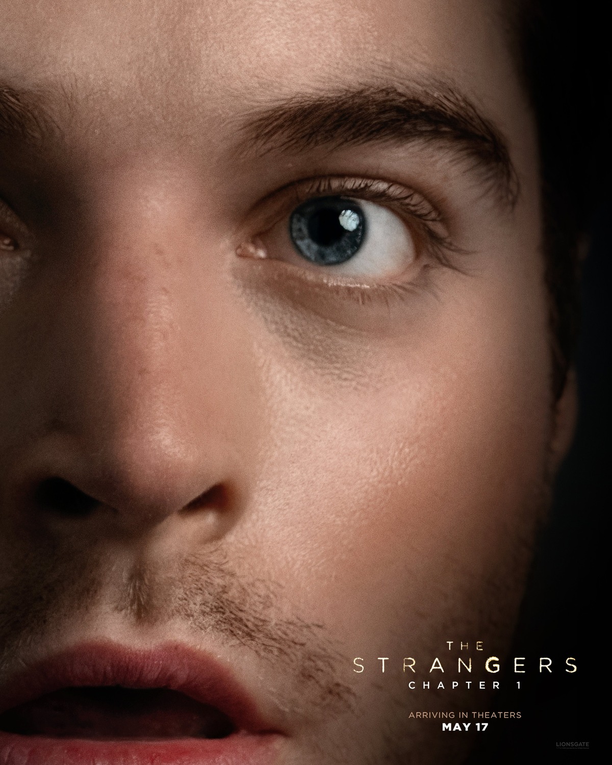 Extra Large Movie Poster Image for The Strangers: Chapter 1 (#9 of 10)