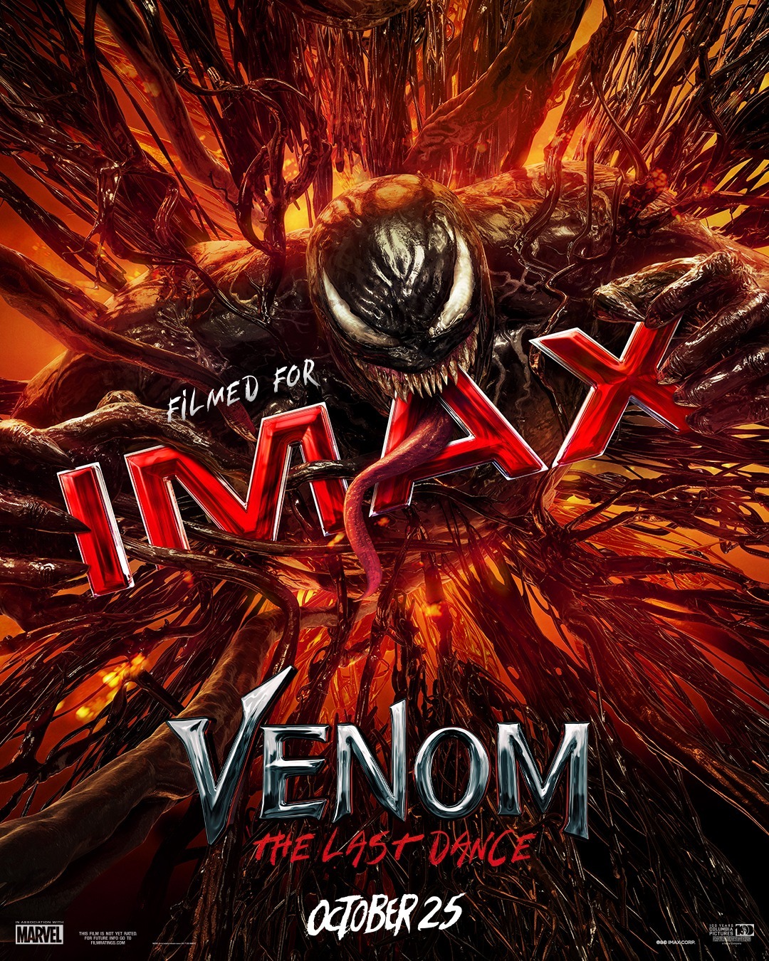 Extra Large Movie Poster Image for Venom: The Last Dance (#4 of 18)