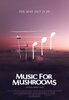 Music for Mushrooms (2024) Thumbnail