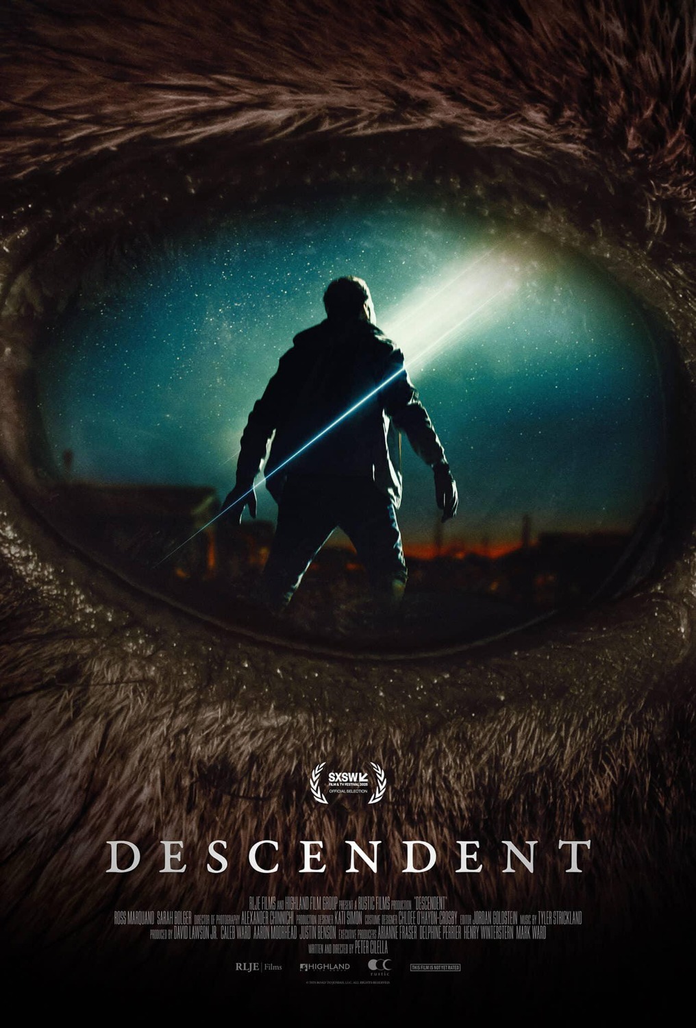 Extra Large Movie Poster Image for Descendent 