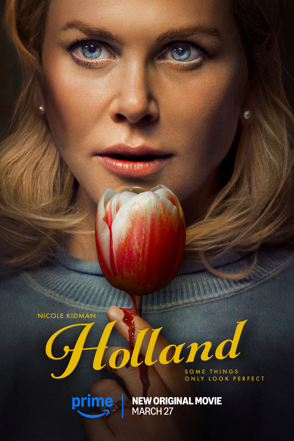 Extra Large Movie Poster Image for Holland 