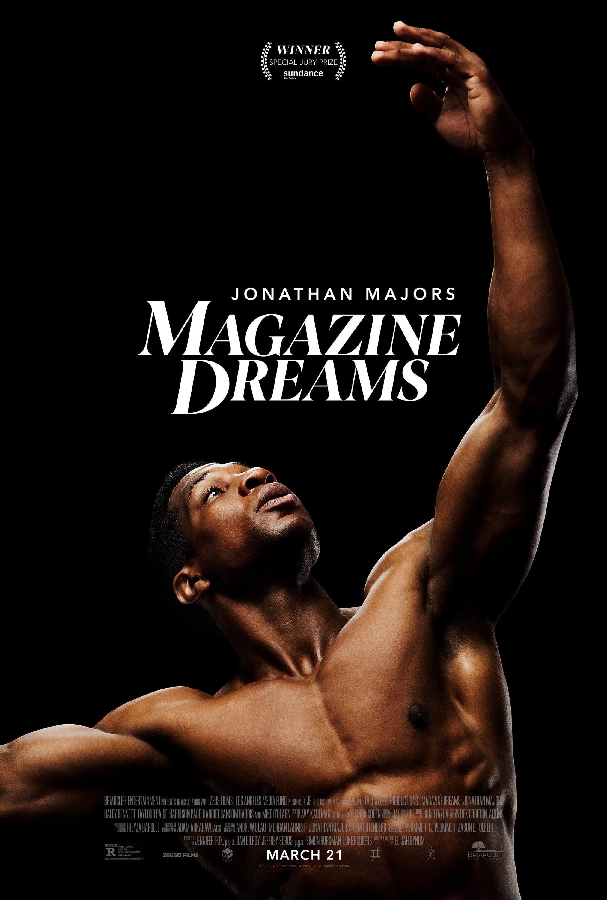 Mega Sized Movie Poster Image for Magazine Dreams 