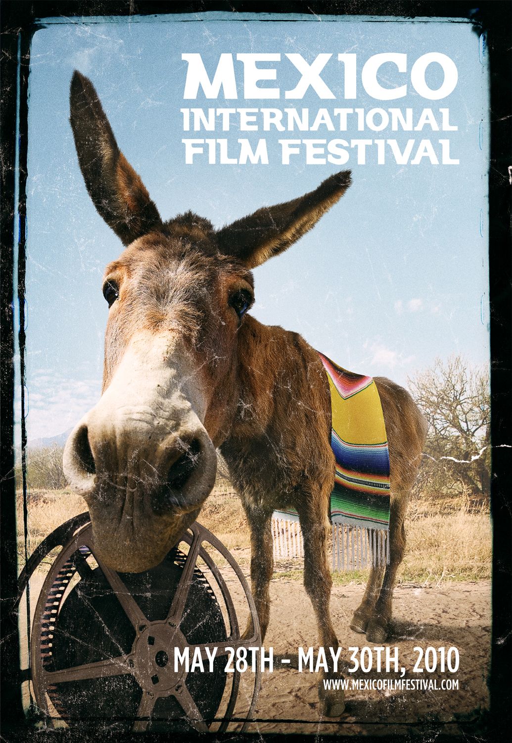 Extra Large TV Poster Image for Mexican International Film Festival 