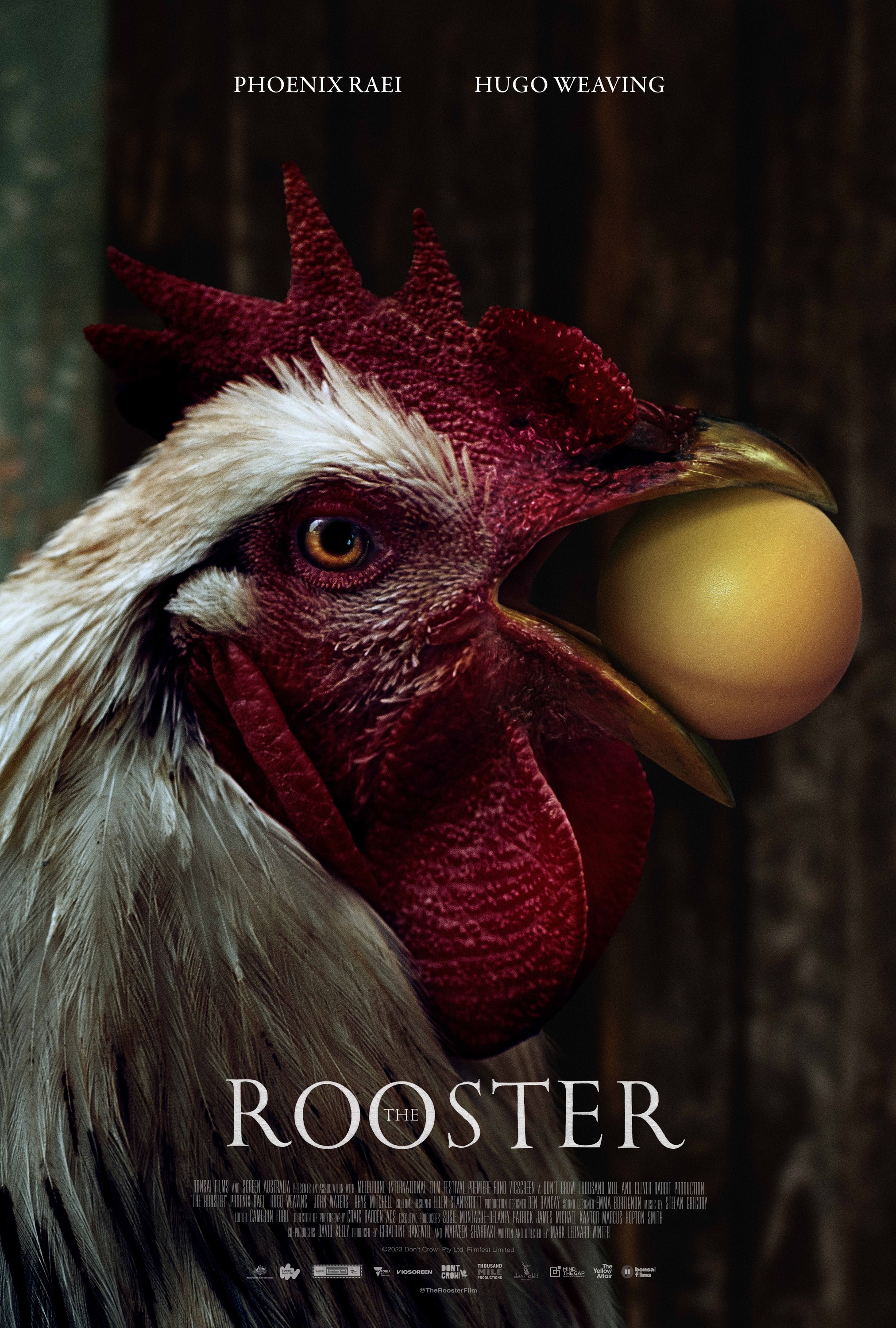 Mega Sized Movie Poster Image for The Rooster (#2 of 3)