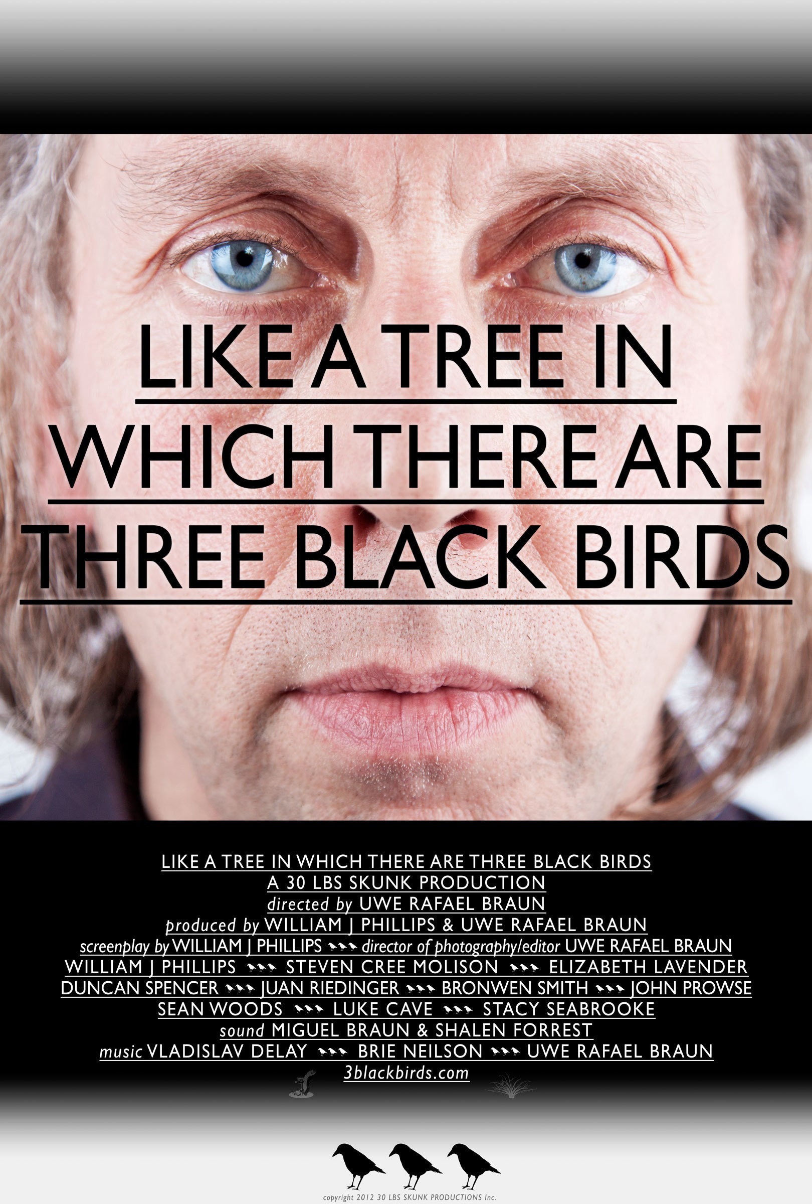 Mega Sized Movie Poster Image for Like a Tree in Which There Are Three Black Birds 