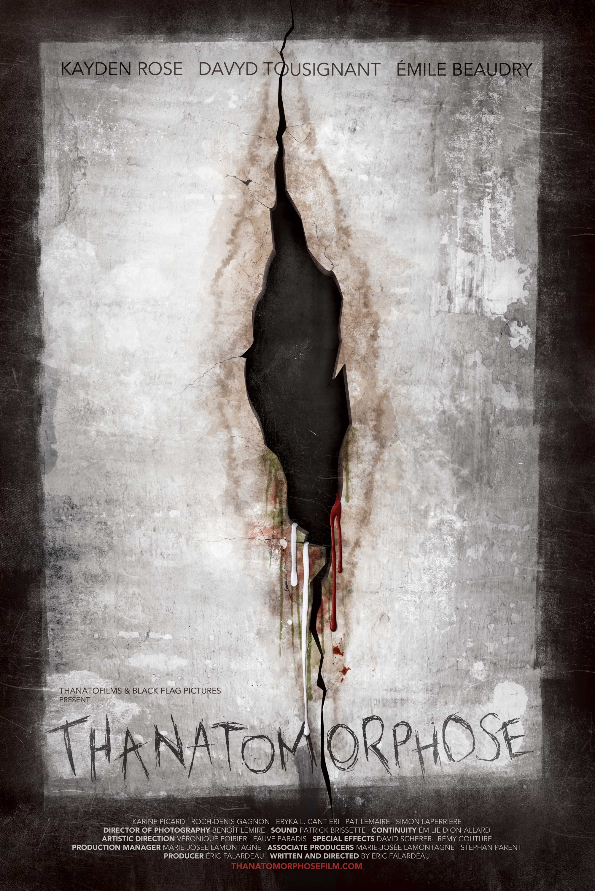 Mega Sized Movie Poster Image for Thanatomorphose 