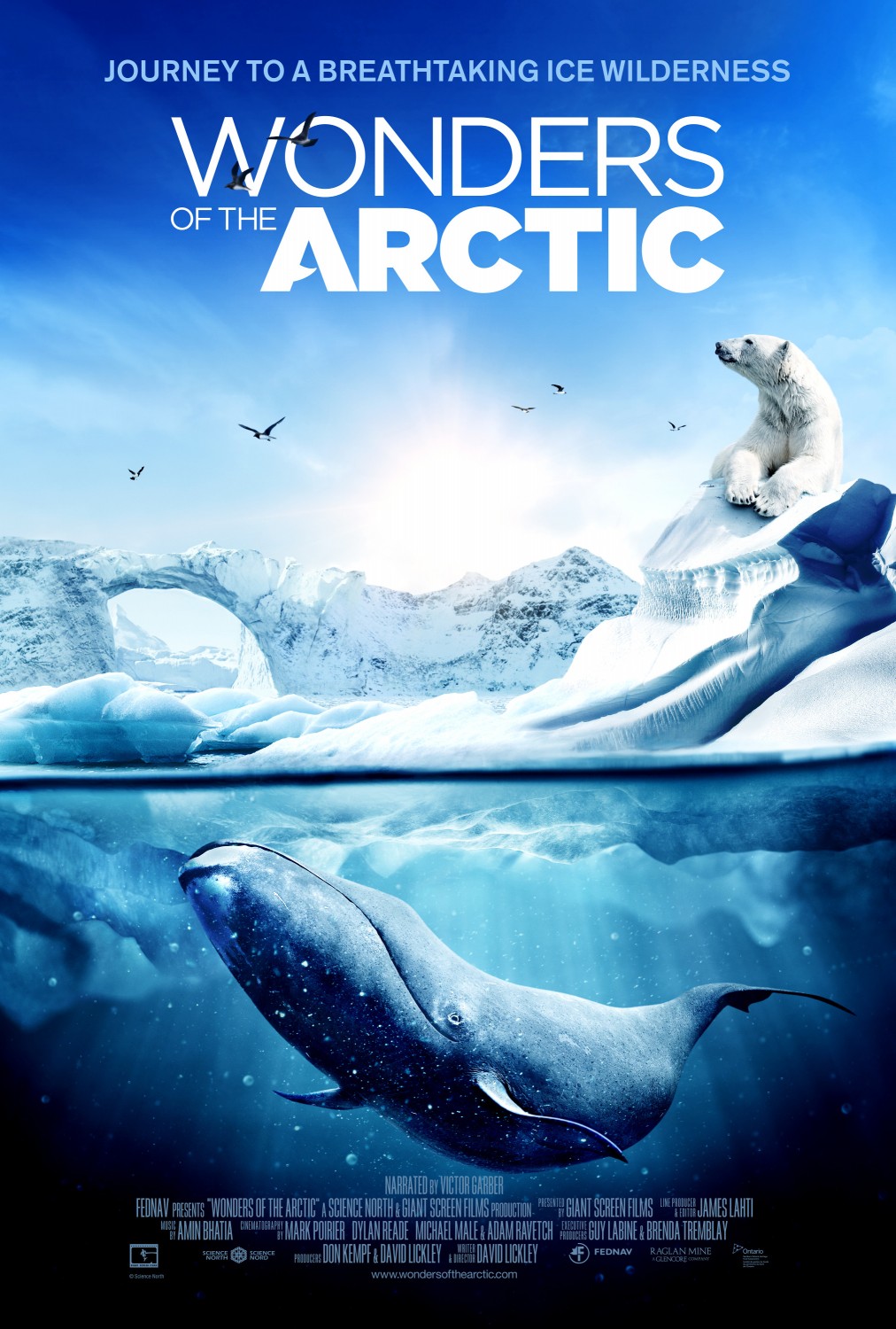 Extra Large Movie Poster Image for Wonders of the Arctic 