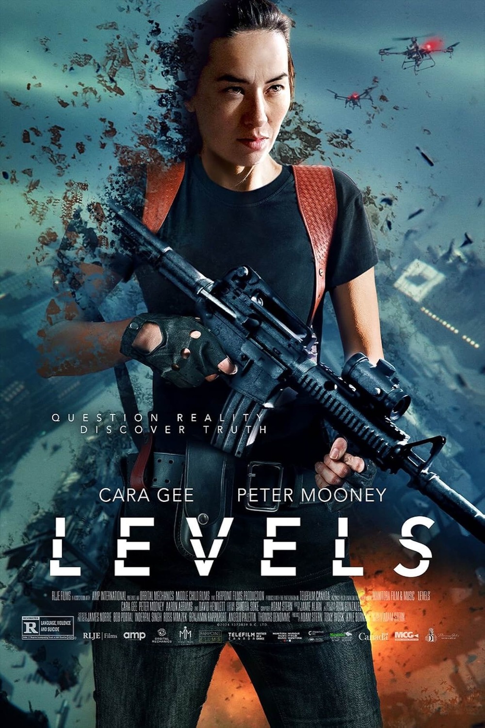 Extra Large Movie Poster Image for Levels 