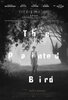 The Painted Bird (2019) Thumbnail
