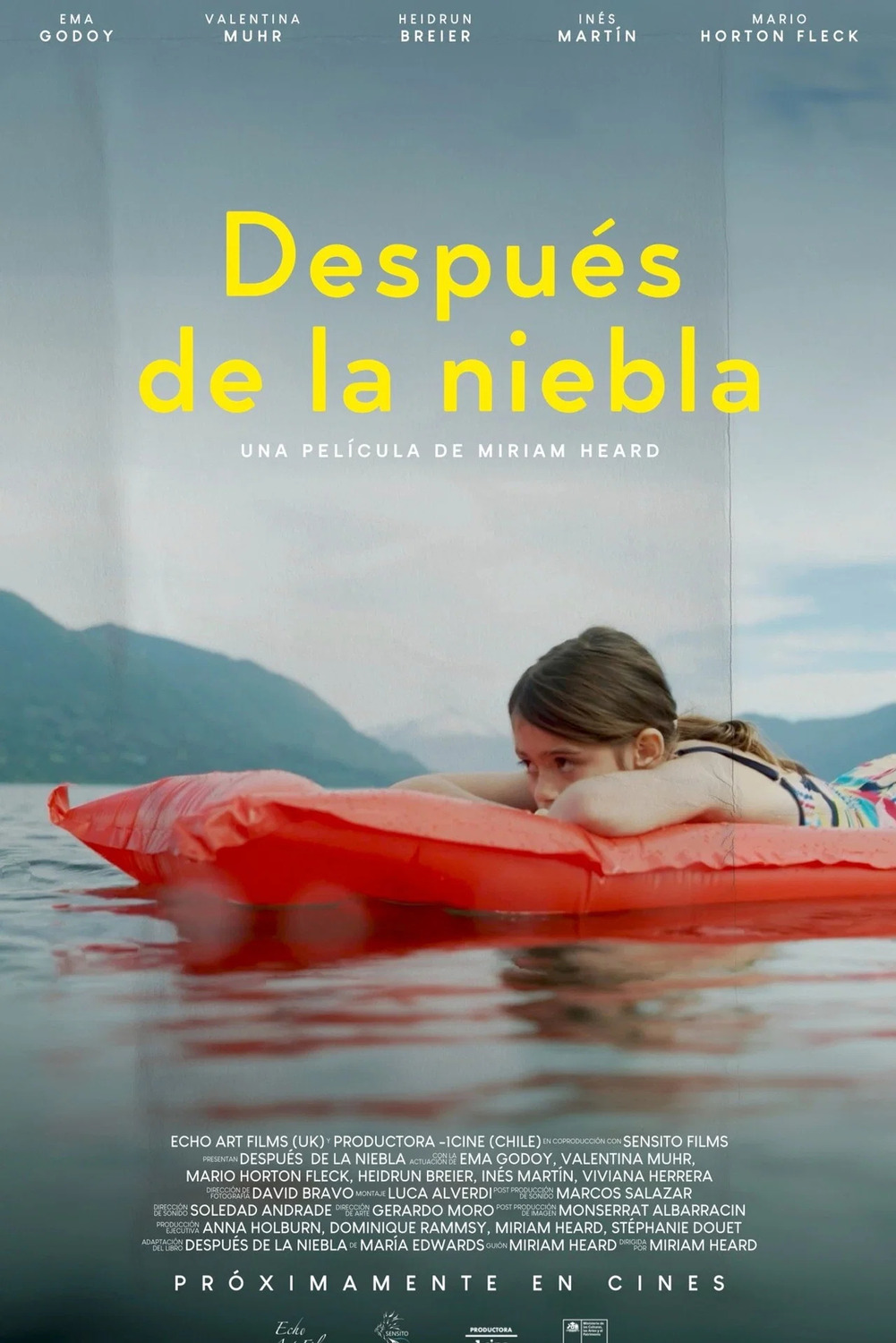 Extra Large Movie Poster Image for Después de la Niebla 