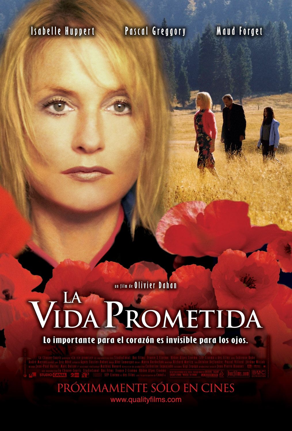Extra Large Movie Poster Image for The Promised Life (#2 of 2)