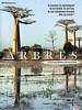 Arbres (2002) Thumbnail