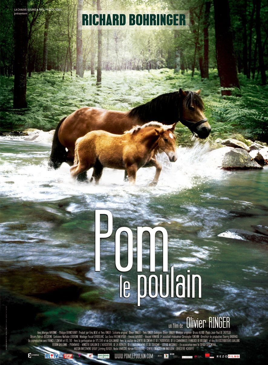 Extra Large Movie Poster Image for Pom le poulain 