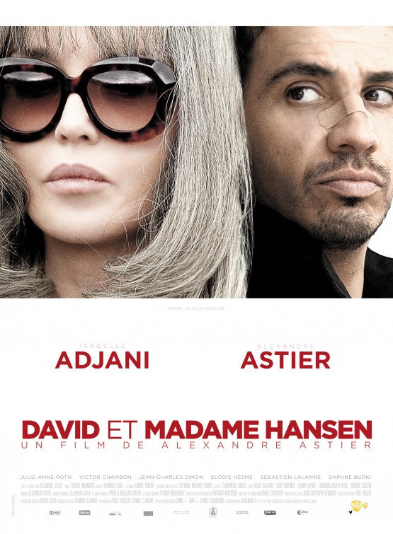 David et Madame Hansen Movie Poster