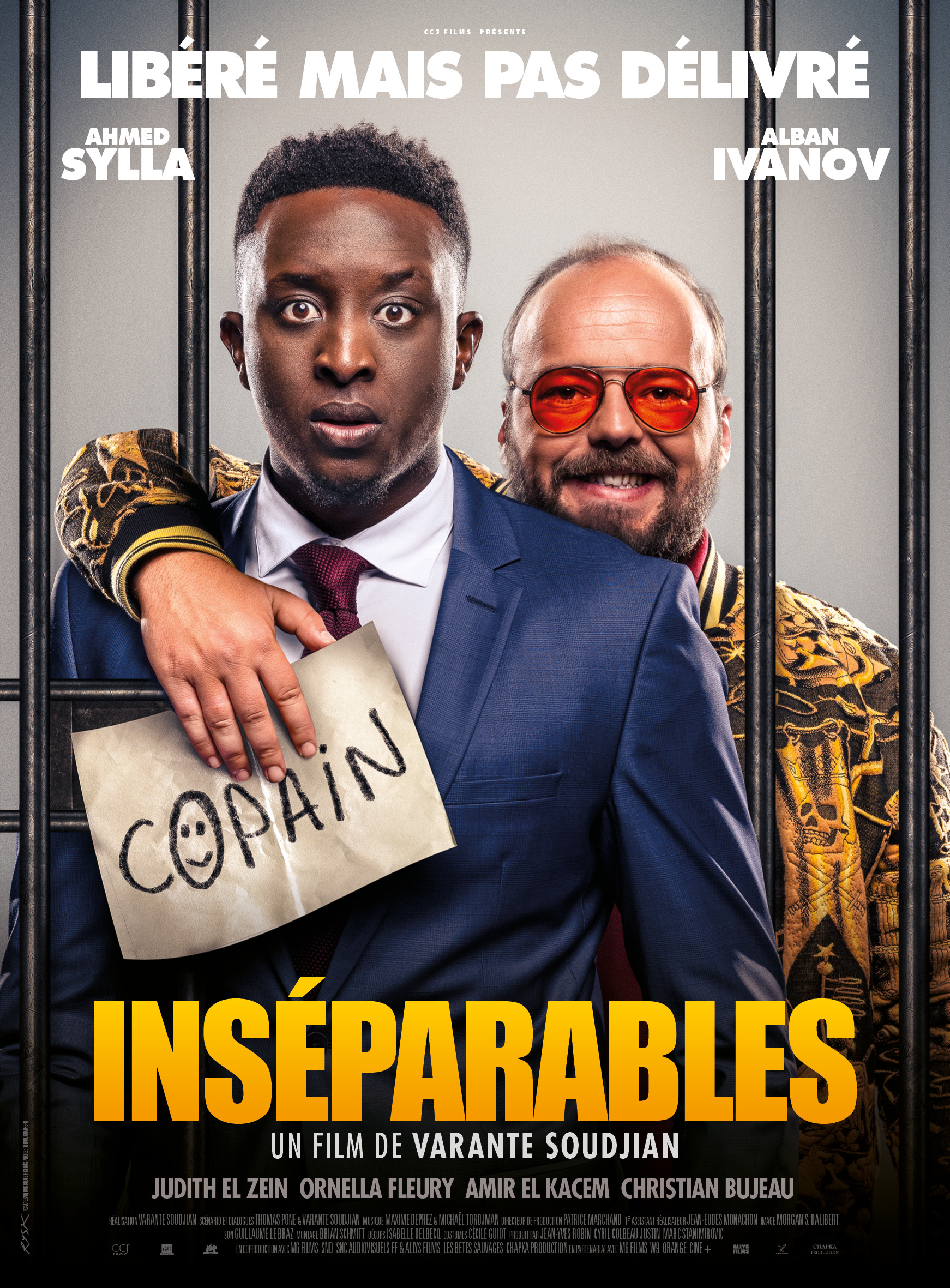 Mega Sized Movie Poster Image for Inséparables 