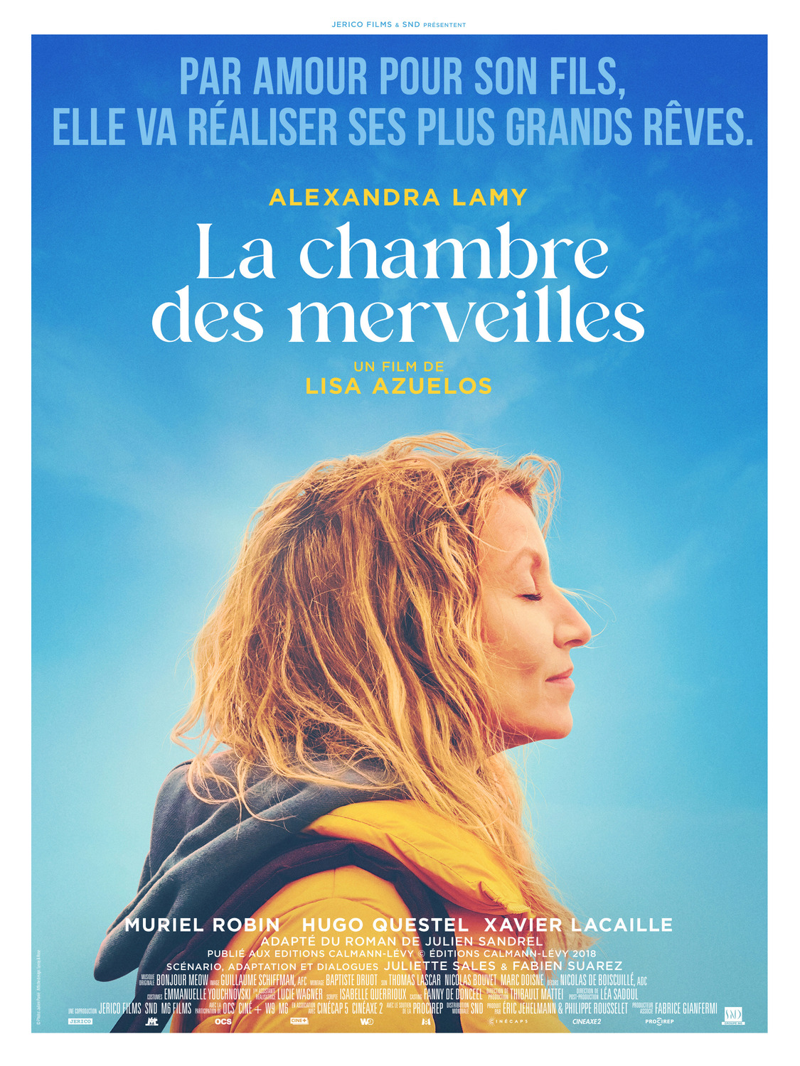 Extra Large Movie Poster Image for La chambre des merveilles 