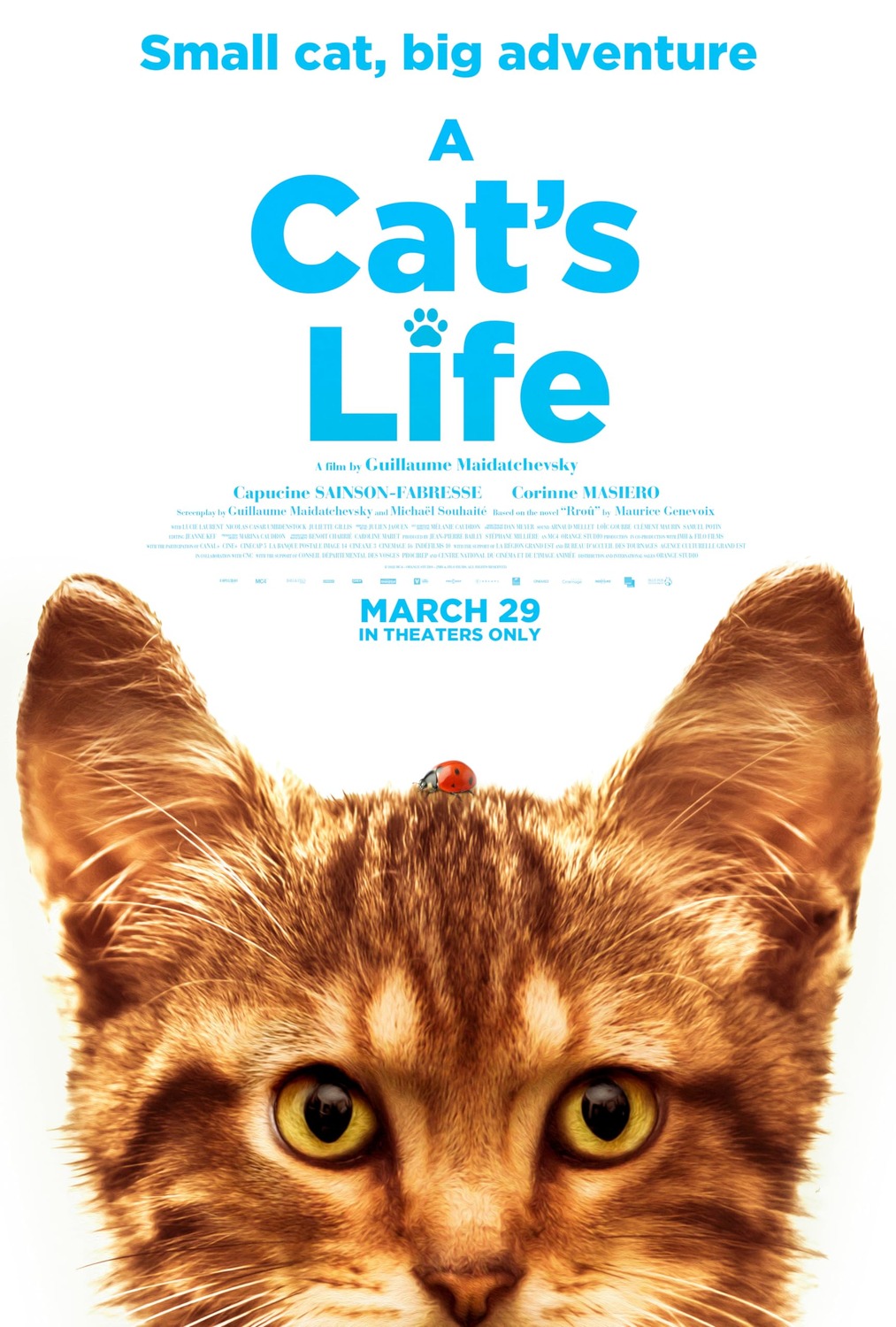 Extra Large Movie Poster Image for Mon chat et moi, la grande aventure de Rroû (#3 of 3)
