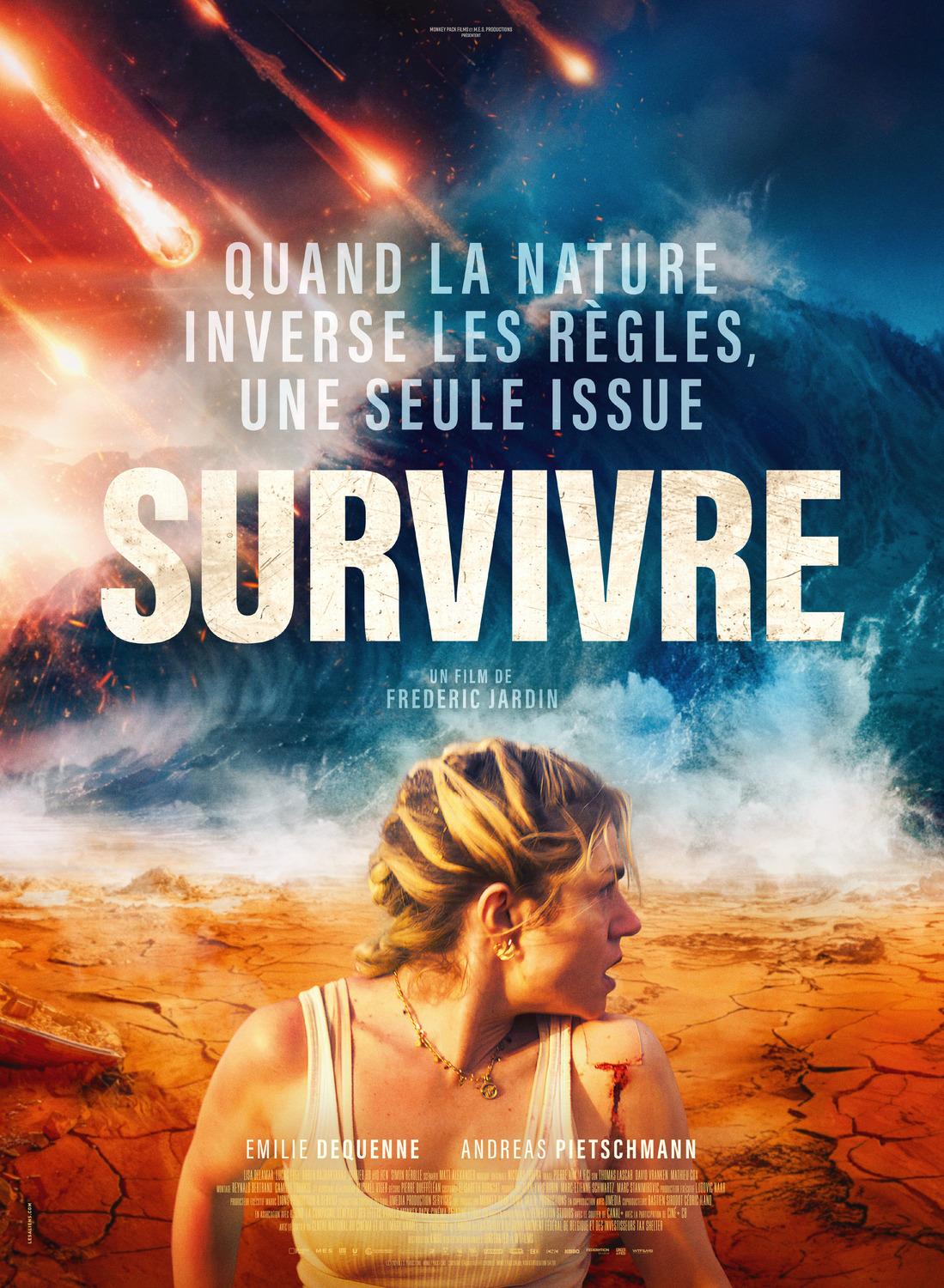 Extra Large Movie Poster Image for Survivre 