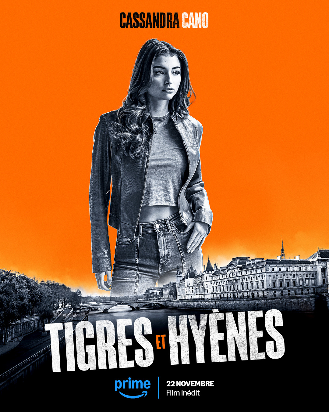 Extra Large Movie Poster Image for Tigres et hyènes (#6 of 6)