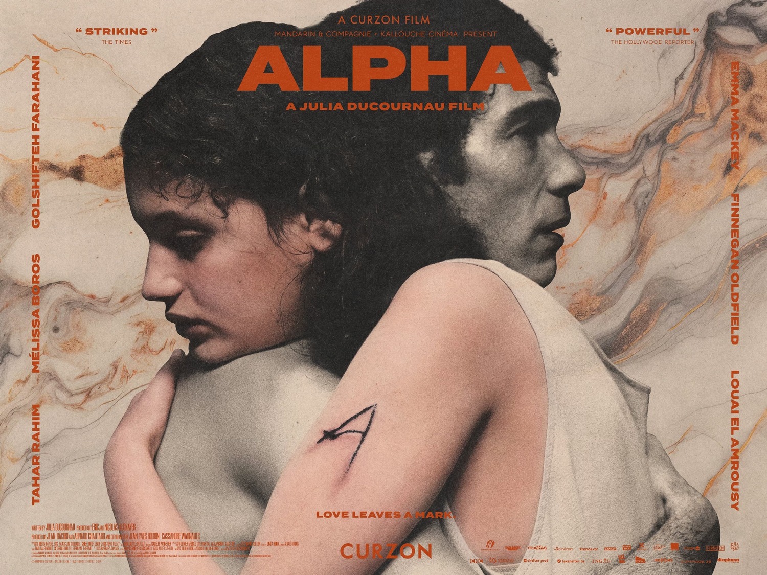 Extra Large Movie Poster Image for Alpha (#2 of 8)