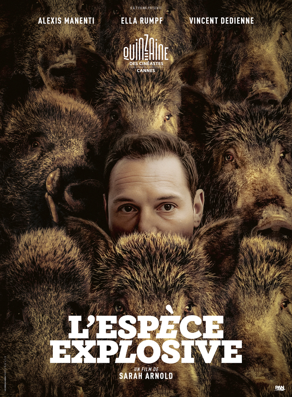 Extra Large Movie Poster Image for L'espèce explosive 