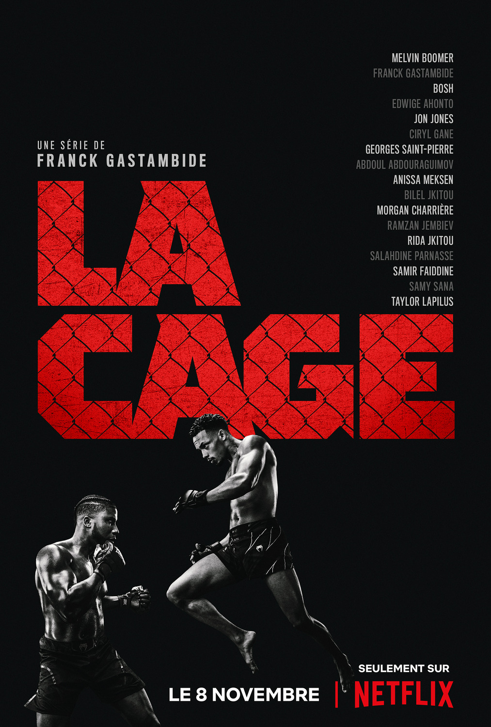 Extra Large TV Poster Image for La Cage (#2 of 4)