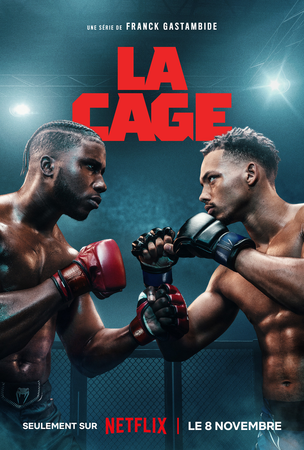 Extra Large TV Poster Image for La Cage (#3 of 4)