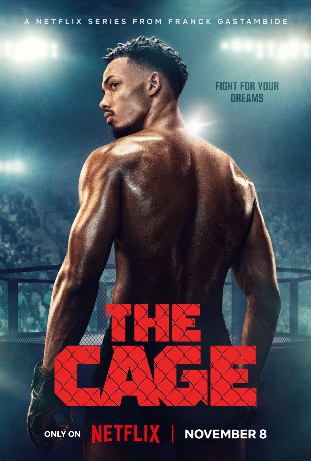 Extra Large TV Poster Image for La Cage 