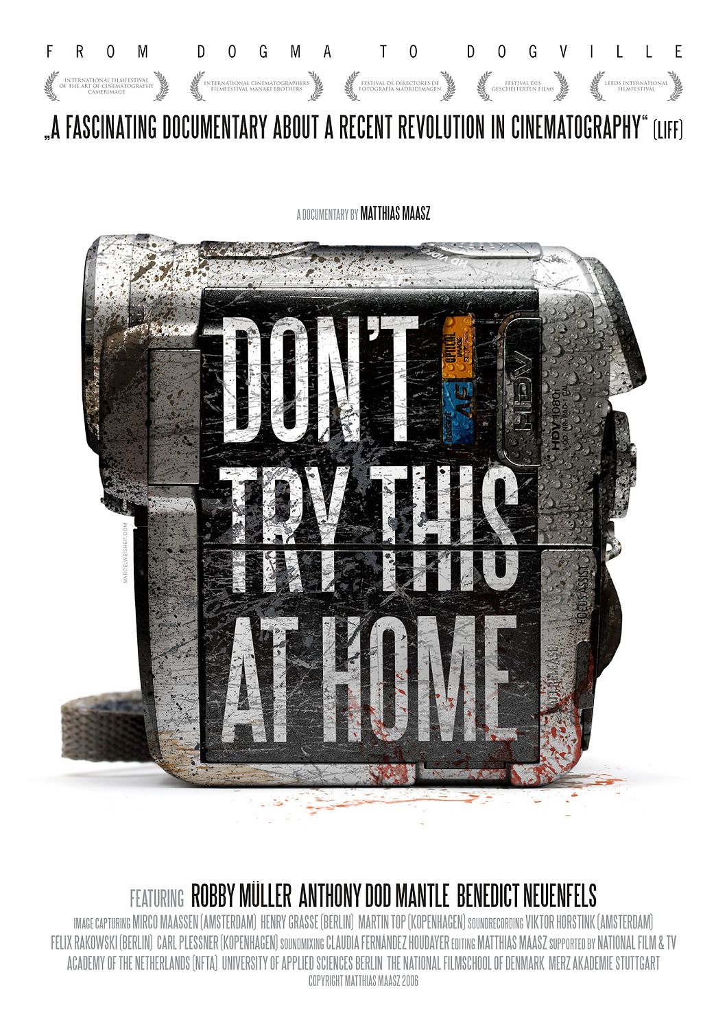 Extra Large Movie Poster Image for Don't Try This at Home 