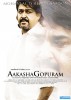 Akasha Gopuram (2008) Thumbnail