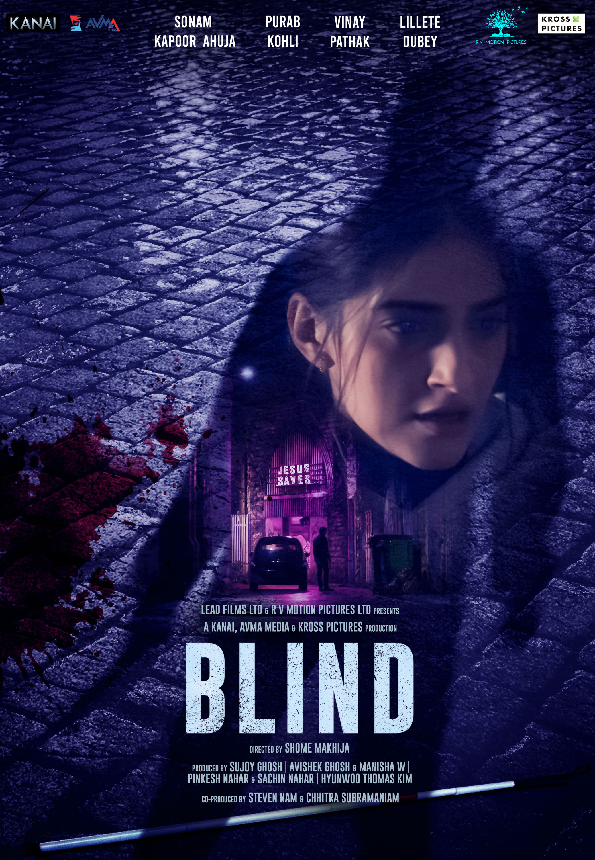 Mega Sized Movie Poster Image for Blind (#2 of 2)